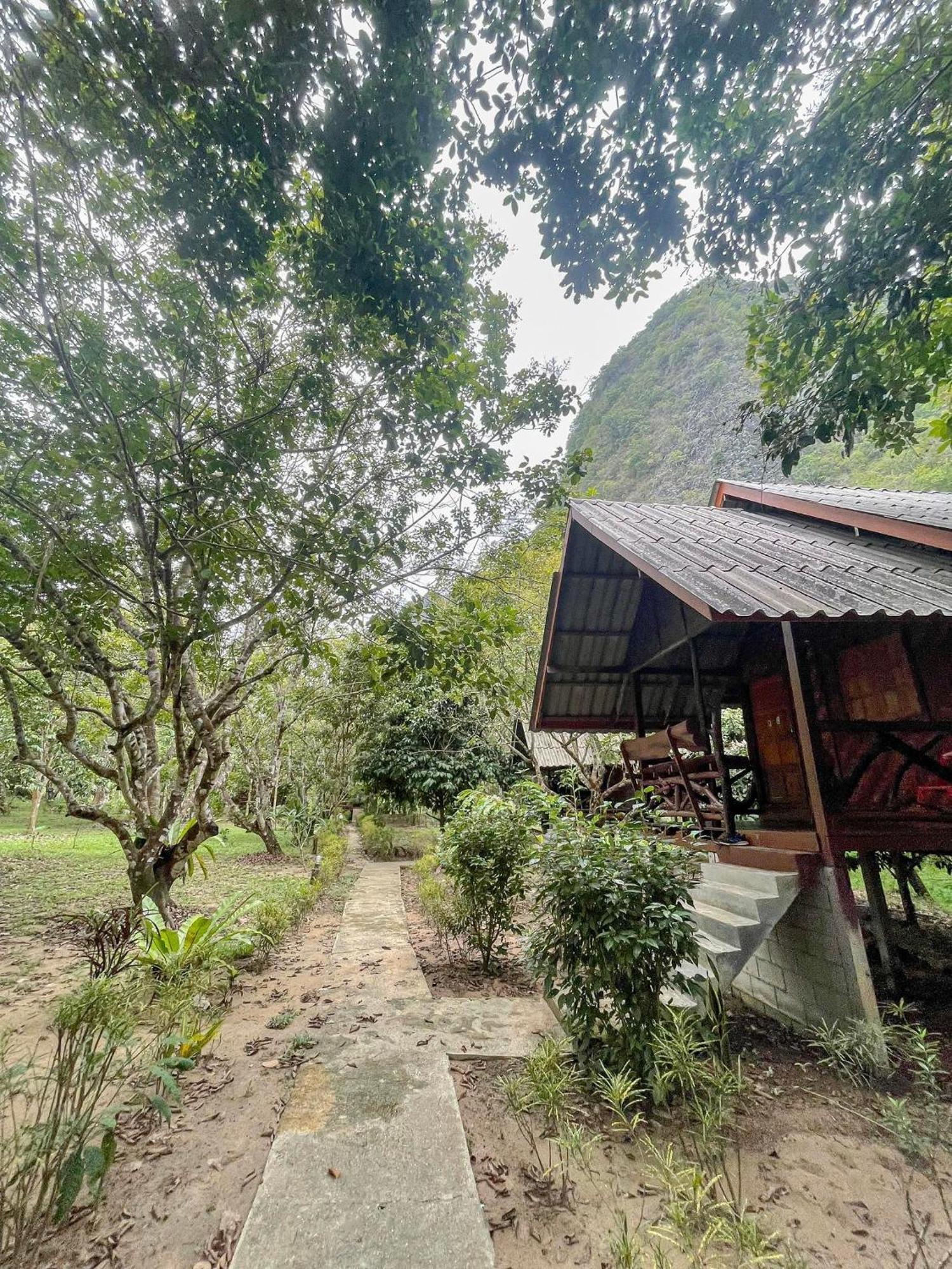 Khao Sok Green Mountain View Khao Sok National Park Exterior foto