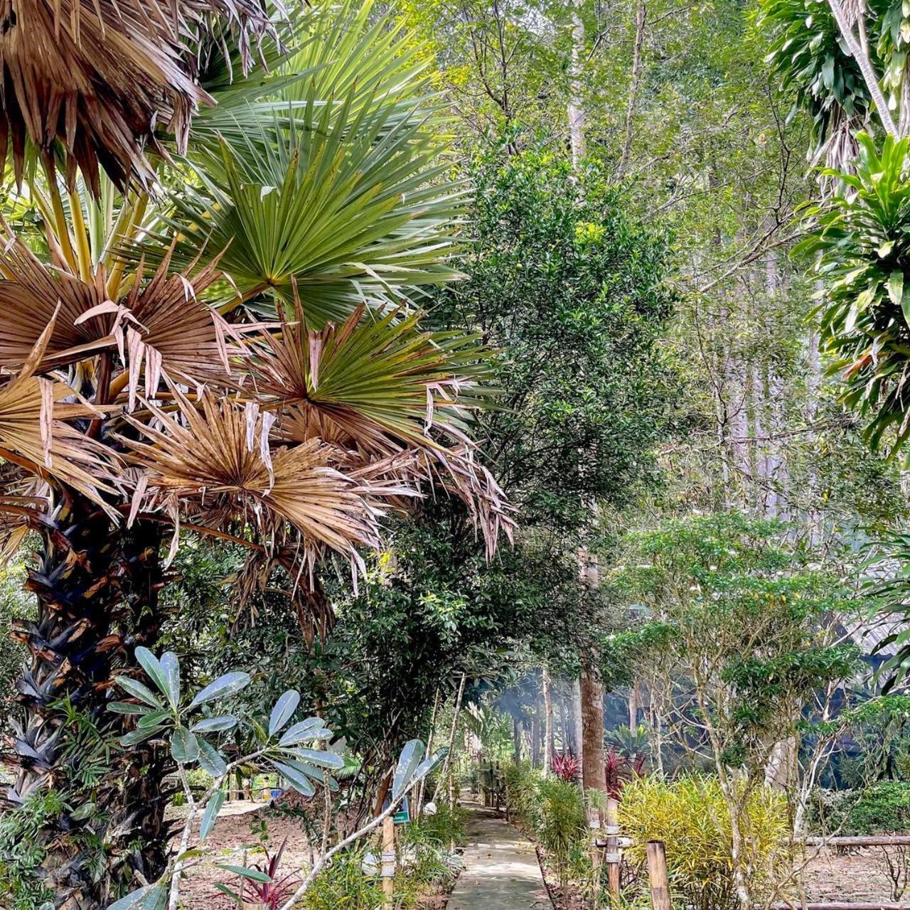 Khao Sok Green Mountain View Khao Sok National Park Exterior foto