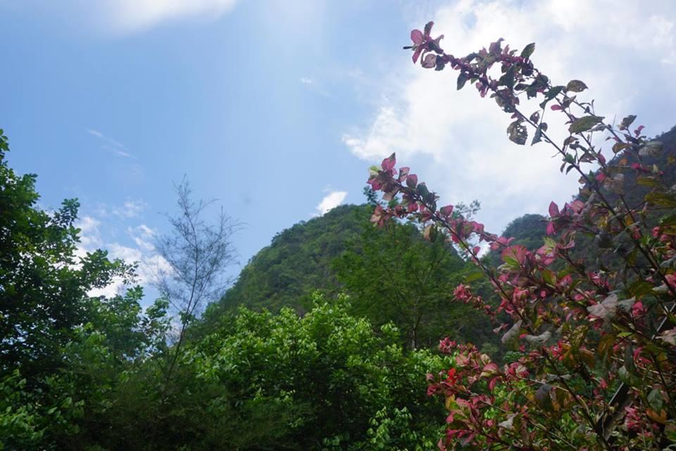 Khao Sok Green Mountain View Khao Sok National Park Exterior foto