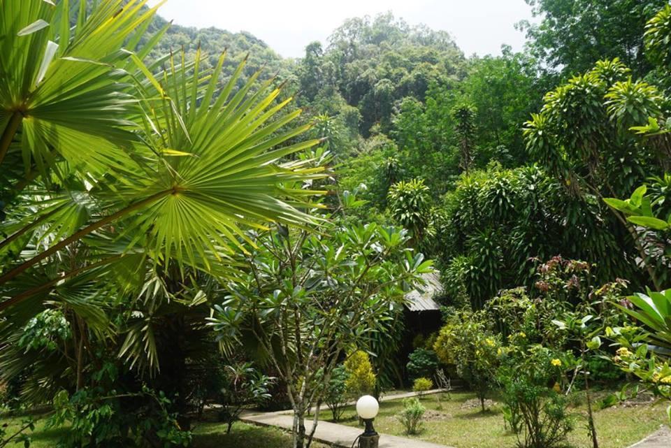 Khao Sok Green Mountain View Khao Sok National Park Exterior foto