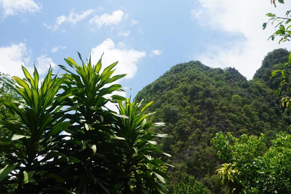 Khao Sok Green Mountain View Khao Sok National Park Exterior foto