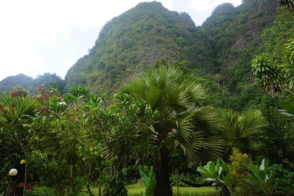 Khao Sok Green Mountain View Khao Sok National Park Exterior foto
